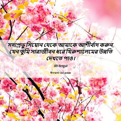 Picture 06 - গীতমালা 128:5 BENIRV - সদাপ্রভুু সিয়োন - Bible Verse Picture