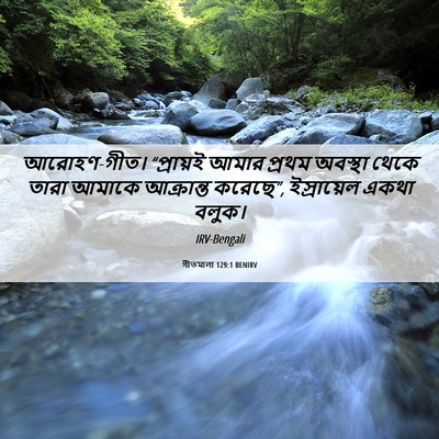 Picture 06 - গীতমালা 129:1 BENIRV - আরোহণ-গীত। - Bible Verse Picture