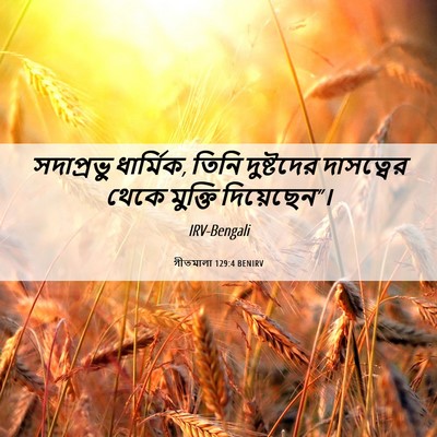 Picture 06 - গীতমালা 129:4 BENIRV - সদাপ্রভুু - Bible Verse Picture