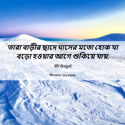 Picture 06 - গীতমালা 129:6 BENIRV - তারা বাড়ীর ছাদে - Bible Verse Picture