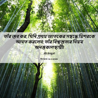 Picture 06 - গীতমালা 136:10 BENIRV - তাঁর স্তব কর, যিনি - Bible Verse Picture