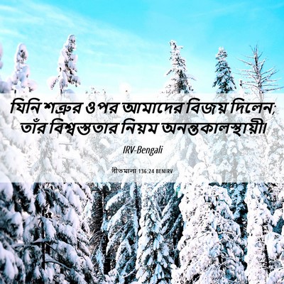 Picture 06 - গীতমালা 136:24 BENIRV - যিনি শত্রুর ওপর - Bible Verse Picture