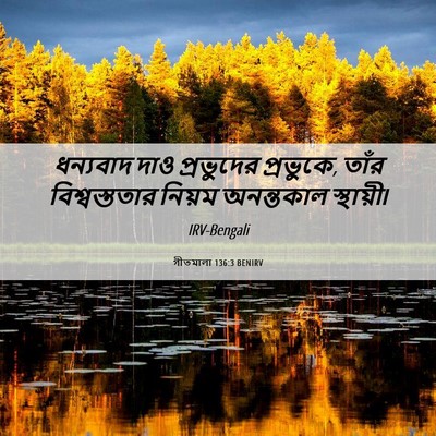 Picture 06 - গীতমালা 136:3 BENIRV - ধন্যবাদ দাও - Bible Verse Picture