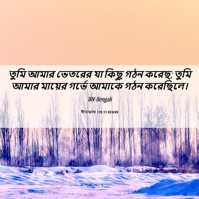 Picture 06 - গীতমালা 139:13 BENIRV - তুমি আমার ভেতরের - Bible Verse Picture