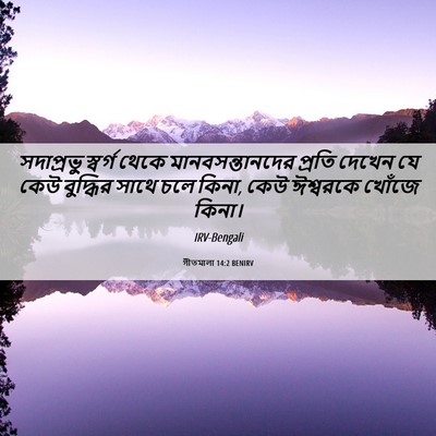 Picture 06 - গীতমালা 14:2 BENIRV - সদাপ্রভুু স্বর্গ - Bible Verse Picture
