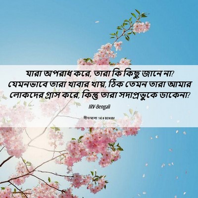 Picture 06 - গীতমালা 14:4 BENIRV - যারা অপরাধ করে, - Bible Verse Picture