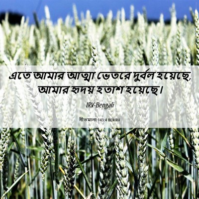Picture 06 - গীতমালা 143:4 BENIRV - এতে আমার আত্মা - Bible Verse Picture