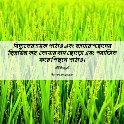 Picture 06 - গীতমালা 144:6 BENIRV - বিদ্যুতের চমক - Bible Verse Picture