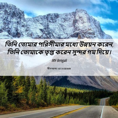 Picture 06 - গীতমালা 147:14 BENIRV - তিনি তোমার - Bible Verse Picture