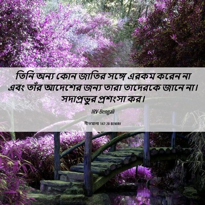 Picture 06 - গীতমালা 147:20 BENIRV - তিনি অন্য কোন - Bible Verse Picture