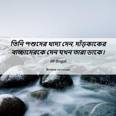 Picture 06 - গীতমালা 147:9 BENIRV - তিনি পশুদের খাদ্য - Bible Verse Picture