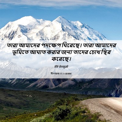 Picture 06 - গীতমালা 17:11 BENIRV - তারা আমাদের - Bible Verse Picture