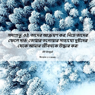 Picture 06 - গীতমালা 17:13 BENIRV - সদাপ্রভুু, ওঠ, - Bible Verse Picture