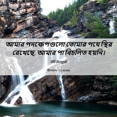 Picture 06 - গীতমালা 17:5 BENIRV - আমার পদক্ষেপগুলো - Bible Verse Picture