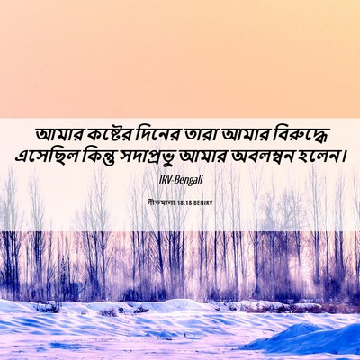 Picture 06 - গীতমালা 18:18 BENIRV - আমার কষ্টের দিনের - Bible Verse Picture