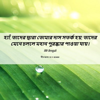 Picture 06 - গীতমালা 19:11 BENIRV - হ্যাঁ, তাদের - Bible Verse Picture