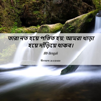 Picture 06 - গীতমালা 20:8 BENIRV - তারা নত হয়ে পতিত - Bible Verse Picture