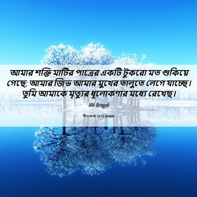 Picture 06 - গীতমালা 22:15 BENIRV - আমার শক্তি মাটির - Bible Verse Picture