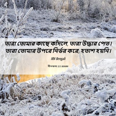 Picture 06 - গীতমালা 22:5 BENIRV - তারা তোমার কাছে - Bible Verse Picture