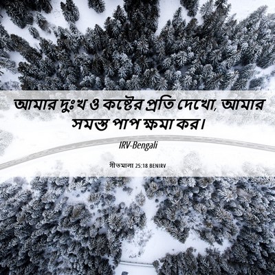 Picture 06 - গীতমালা 25:18 BENIRV - আমার দুঃখ ও কষ্টের - Bible Verse Picture