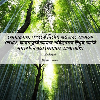 Picture 06 - গীতমালা 25:5 BENIRV - তোমার সত্য - Bible Verse Picture