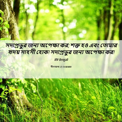 Picture 06 - গীতমালা 27:14 BENIRV - সদাপ্রভুুর জন্য - Bible Verse Picture