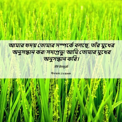 Picture 06 - গীতমালা 27:8 BENIRV - আমার হৃদয় তোমার - Bible Verse Picture