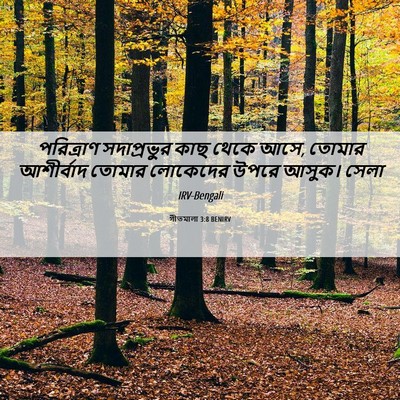 Picture 06 - গীতমালা 3:8 BENIRV - পরিত্রাণ - Bible Verse Picture