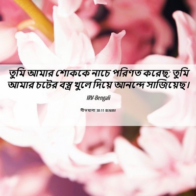 Picture 06 - গীতমালা 30:11 BENIRV - তুমি আমার শোককে - Bible Verse Picture