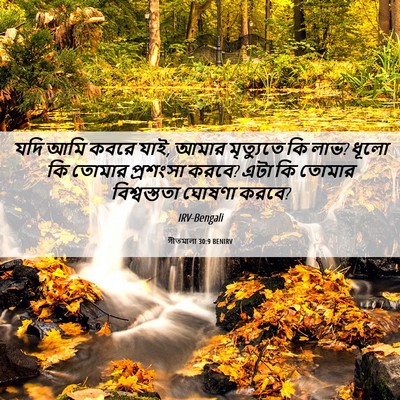 Picture 06 - গীতমালা 30:9 BENIRV - যদি আমি কবরে যাই, - Bible Verse Picture