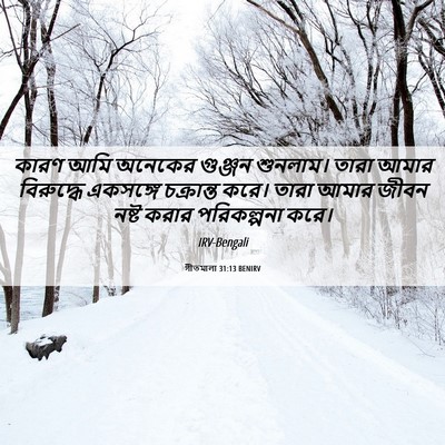 Picture 06 - গীতমালা 31:13 BENIRV - কারণ আমি অনেকের - Bible Verse Picture