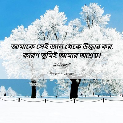 Picture 06 - গীতমালা 31:4 BENIRV - আমাকে সেই জাল থেকে - Bible Verse Picture