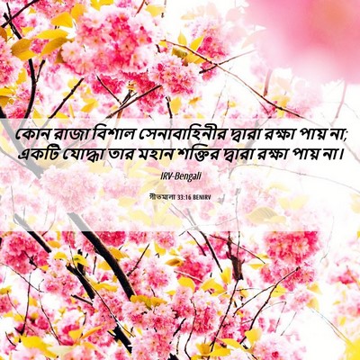 Picture 06 - গীতমালা 33:16 BENIRV - কোন রাজা বিশাল - Bible Verse Picture