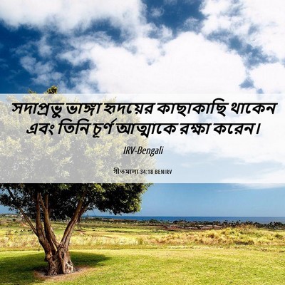 Picture 06 - গীতমালা 34:18 BENIRV - সদাপ্রভুু ভাঙ্গা - Bible Verse Picture