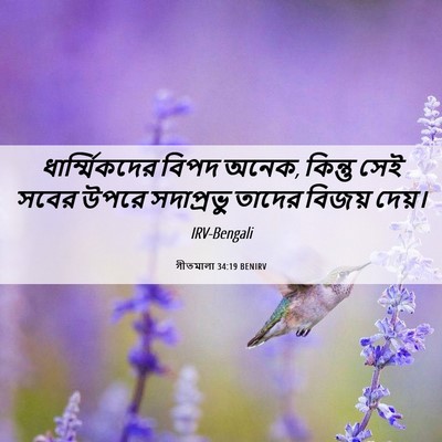 Picture 06 - গীতমালা 34:19 BENIRV - ধার্ম্মিকদের বিপদ - Bible Verse Picture