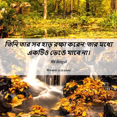Picture 06 - গীতমালা 34:20 BENIRV - তিনি তার সব হাড় - Bible Verse Picture