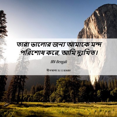 Picture 06 - গীতমালা 35:12 BENIRV - তারা ভালোর জন্য - Bible Verse Picture