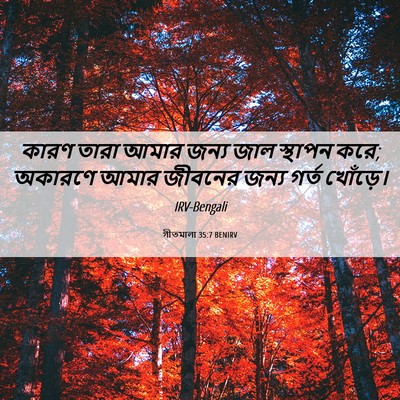 Picture 06 - গীতমালা 35:7 BENIRV - কারণ তারা আমার - Bible Verse Picture