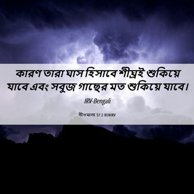 Picture 06 - গীতমালা 37:2 BENIRV - কারণ তারা ঘাস - Bible Verse Picture