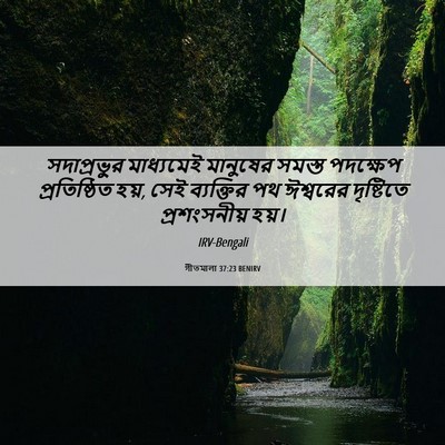 Picture 06 - গীতমালা 37:23 BENIRV - সদাপ্রভুুর - Bible Verse Picture