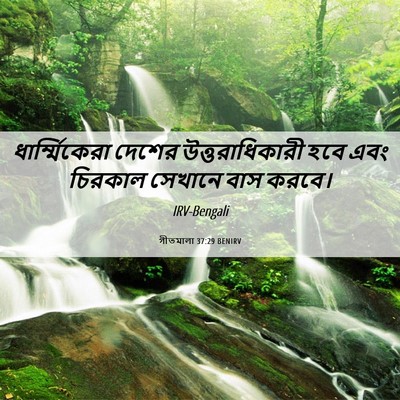 Picture 06 - গীতমালা 37:29 BENIRV - ধার্ম্মিকেরা - Bible Verse Picture