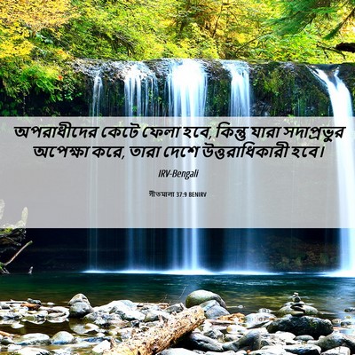 Picture 06 - গীতমালা 37:9 BENIRV - অপরাধীদের কেটে - Bible Verse Picture