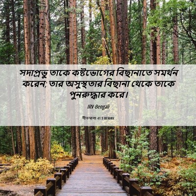 Picture 06 - গীতমালা 41:3 BENIRV - সদাপ্রভুু তাকে - Bible Verse Picture