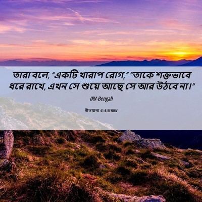 Picture 06 - গীতমালা 41:8 BENIRV - তারা বলে, “একটি - Bible Verse Picture