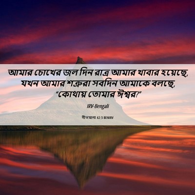 Picture 06 - গীতমালা 42:3 BENIRV - আমার চোখের জল দিন - Bible Verse Picture