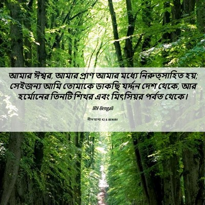 Picture 06 - গীতমালা 42:6 BENIRV - আমার ঈশ্বর, আমার - Bible Verse Picture