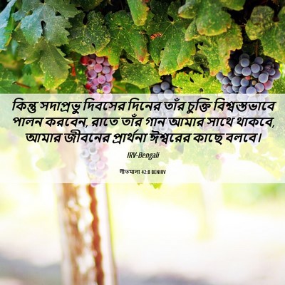 Picture 06 - গীতমালা 42:8 BENIRV - কিন্তু সদাপ্রভুু - Bible Verse Picture