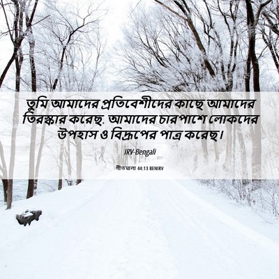 Picture 06 - গীতমালা 44:13 BENIRV - তুমি আমাদের - Bible Verse Picture