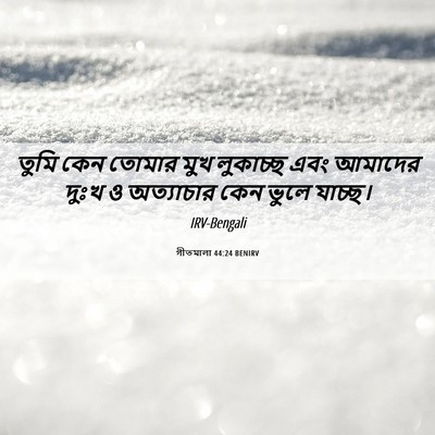 Picture 06 - গীতমালা 44:24 BENIRV - তুমি কেন তোমার মুখ - Bible Verse Picture