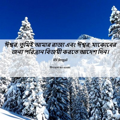 Picture 06 - গীতমালা 44:4 BENIRV - ঈশ্বর, তুমিই আমার - Bible Verse Picture